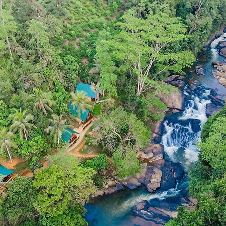 The Rainforest Hideaway Hotell Deniyaya Eksteriør bilde