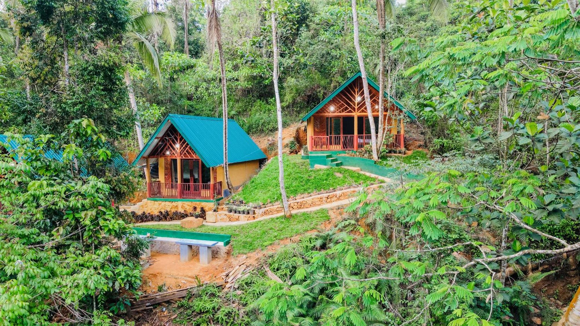 The Rainforest Hideaway Hotell Deniyaya Eksteriør bilde