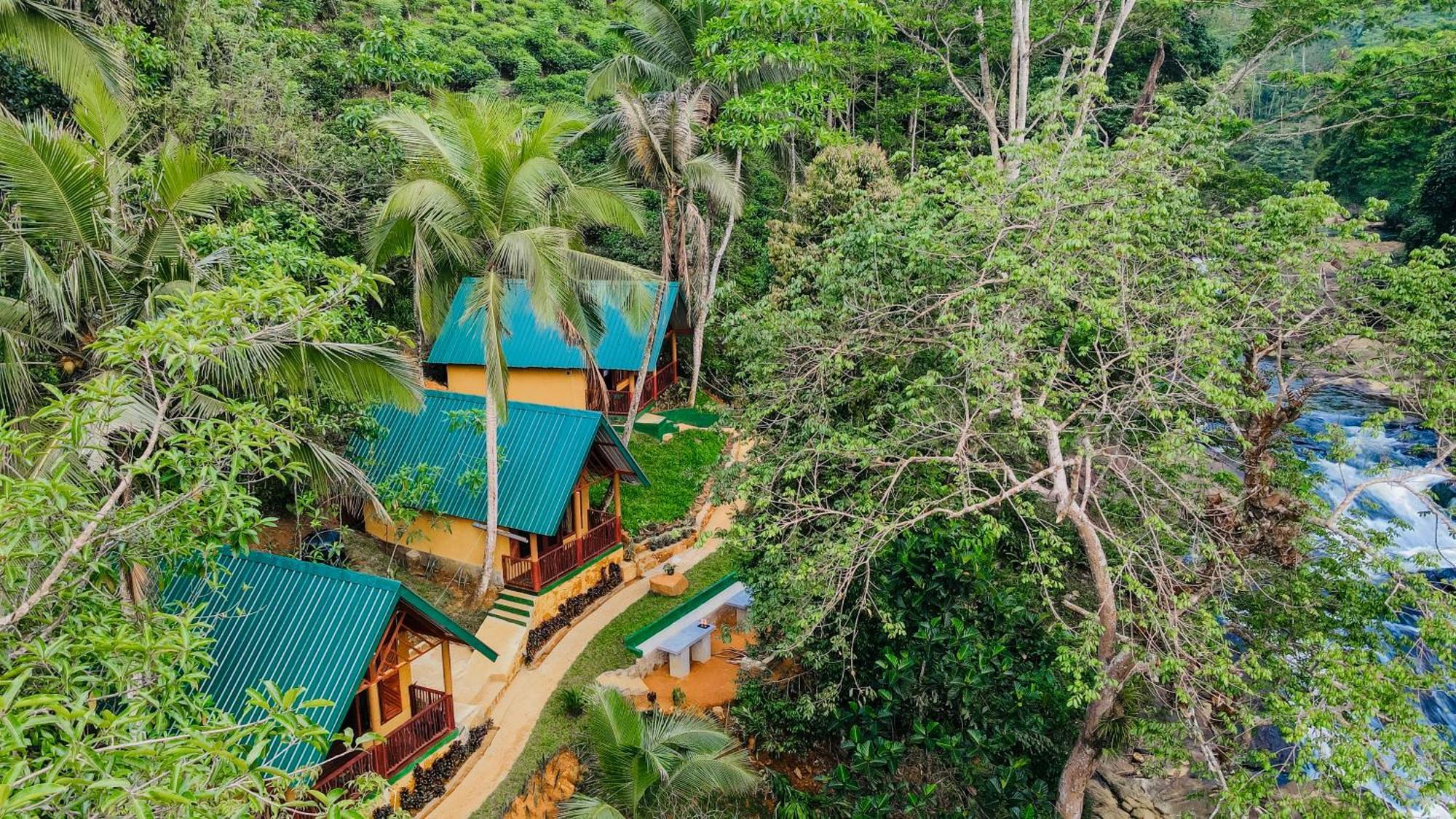 The Rainforest Hideaway Hotell Deniyaya Eksteriør bilde