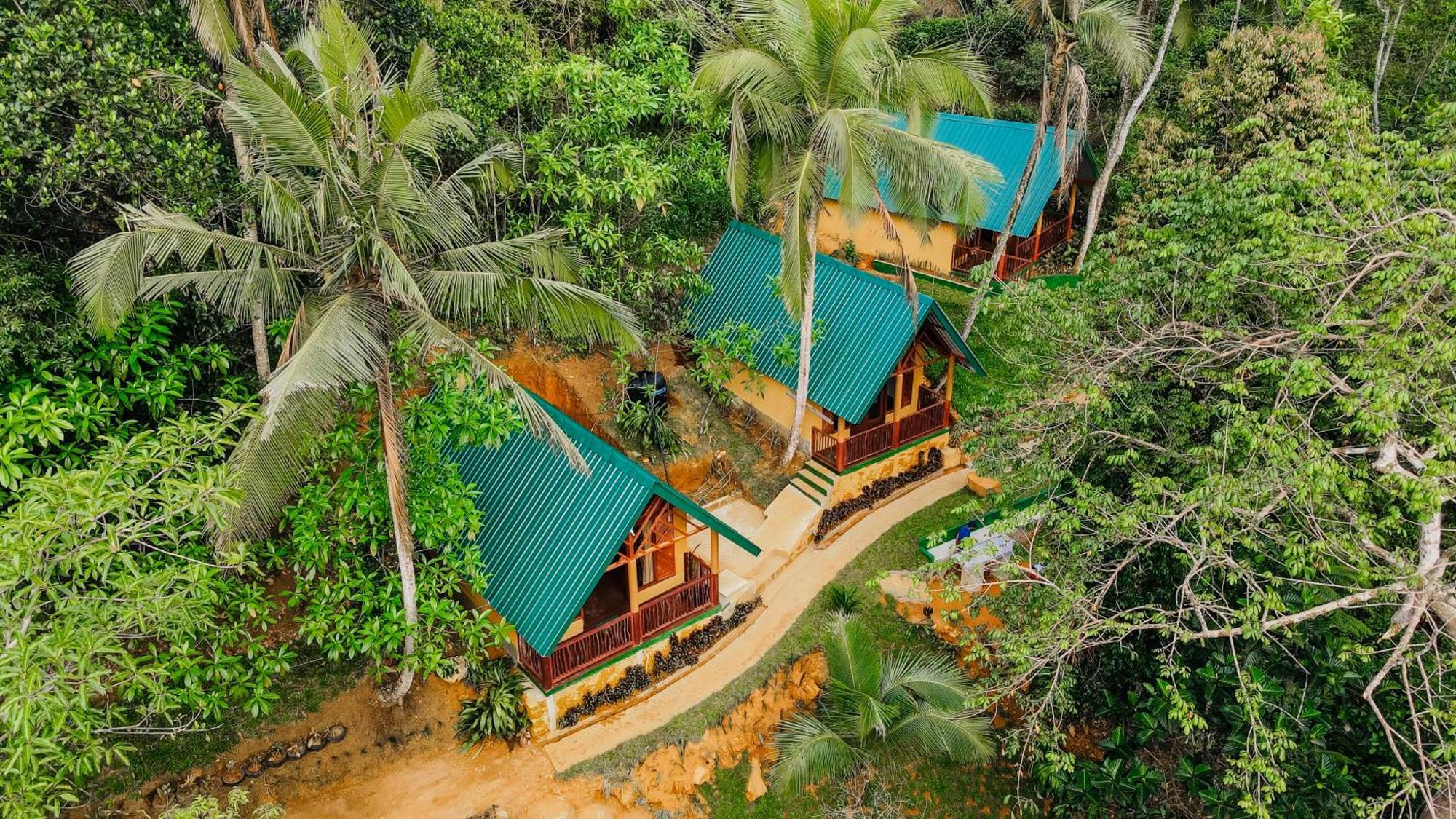 The Rainforest Hideaway Hotell Deniyaya Eksteriør bilde