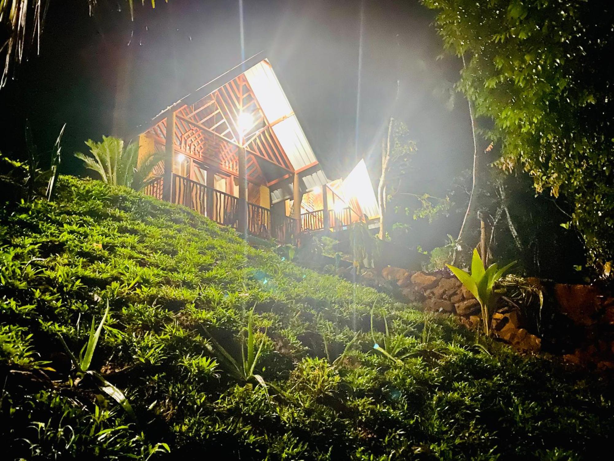 The Rainforest Hideaway Hotell Deniyaya Eksteriør bilde