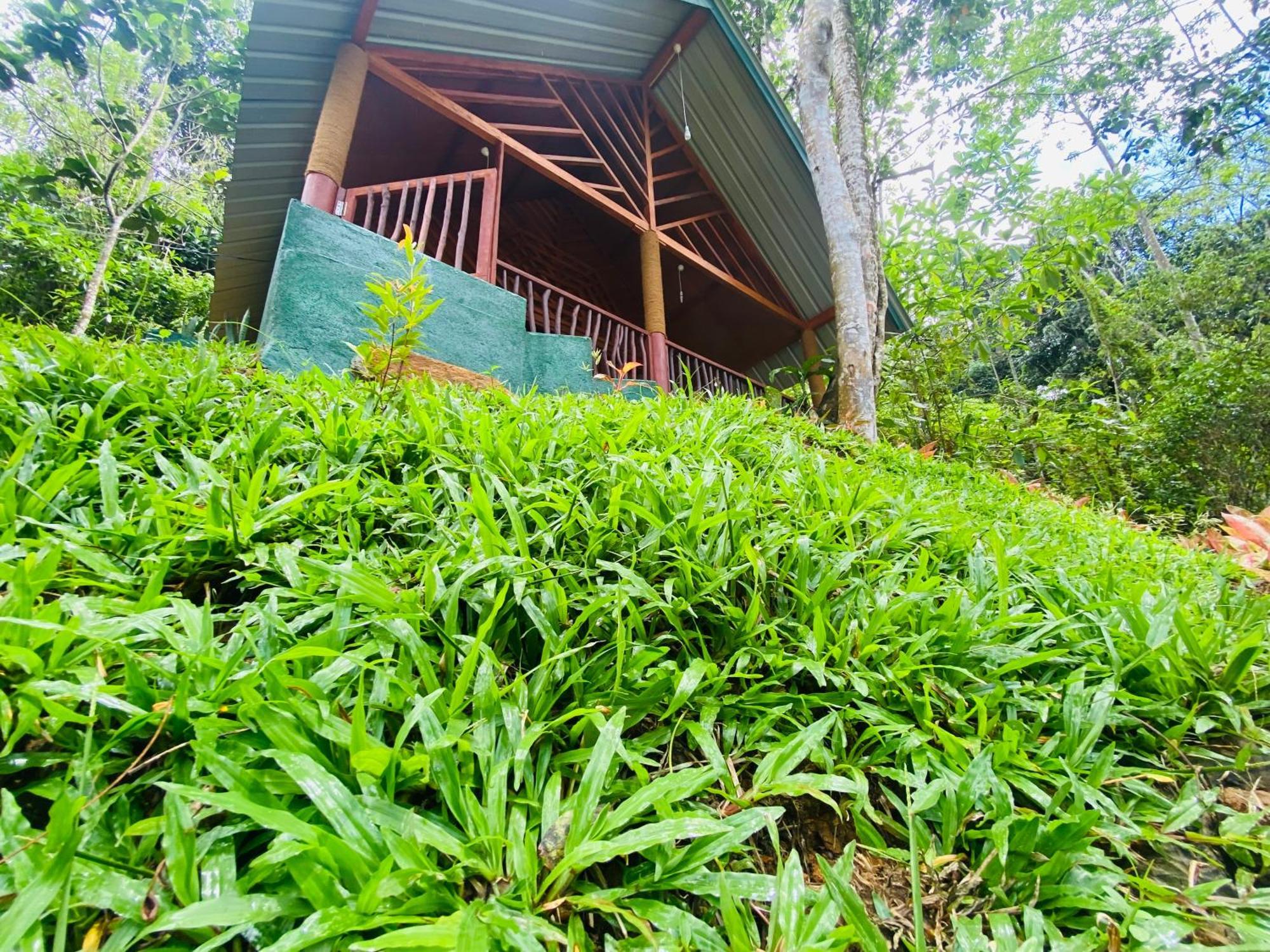 The Rainforest Hideaway Deniyaya Eksteriør bilde