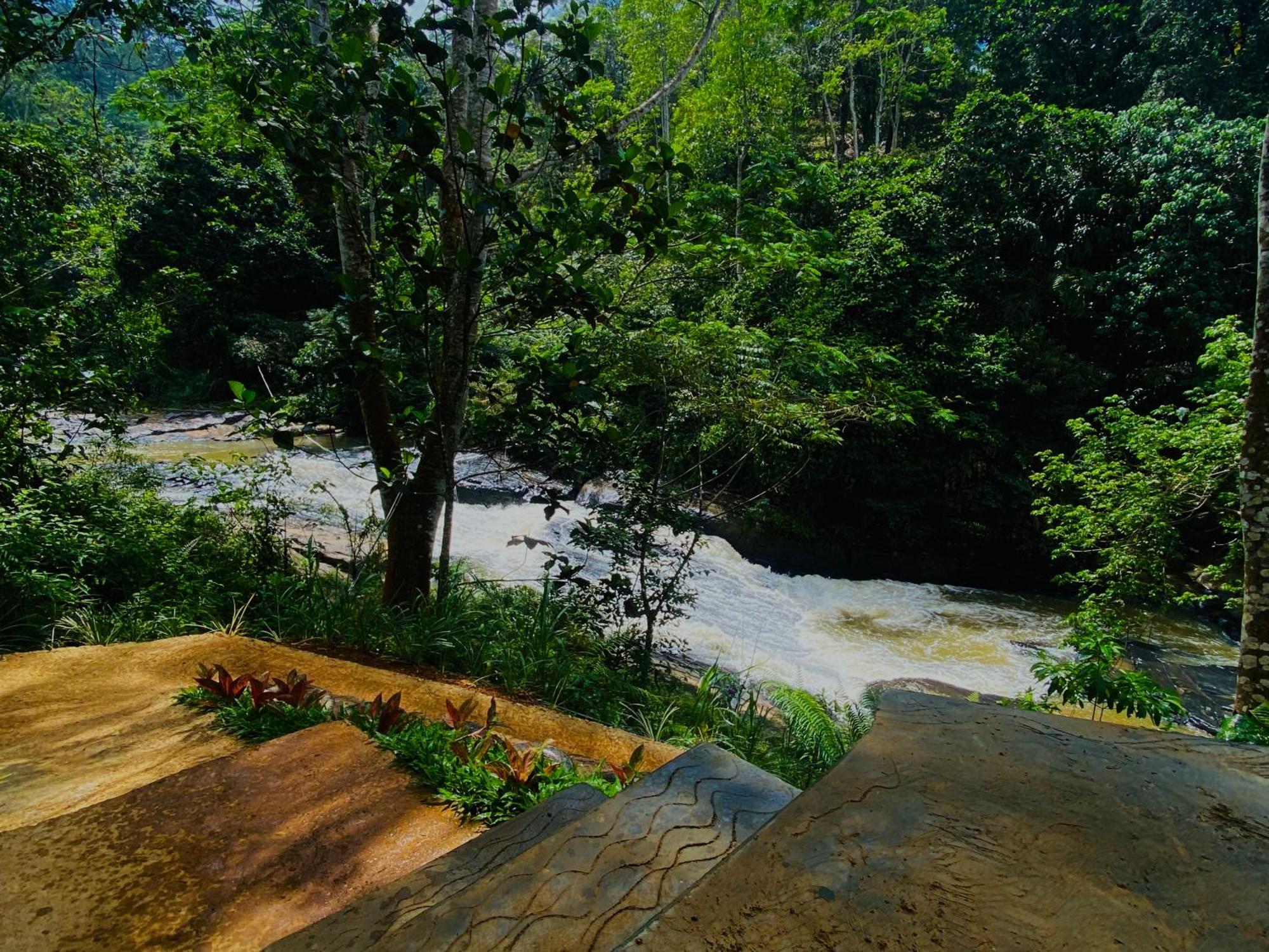 The Rainforest Hideaway Hotell Deniyaya Eksteriør bilde