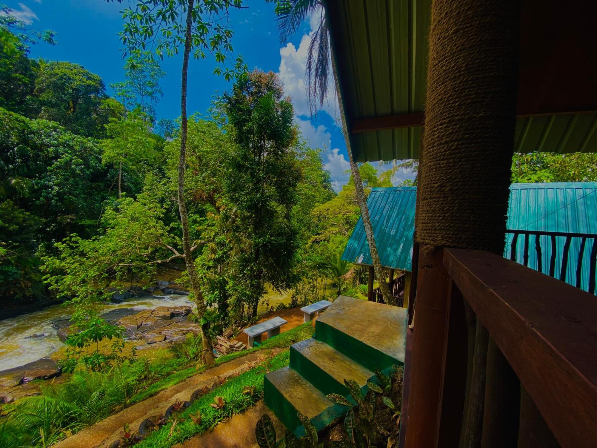 The Rainforest Hideaway Hotell Deniyaya Eksteriør bilde